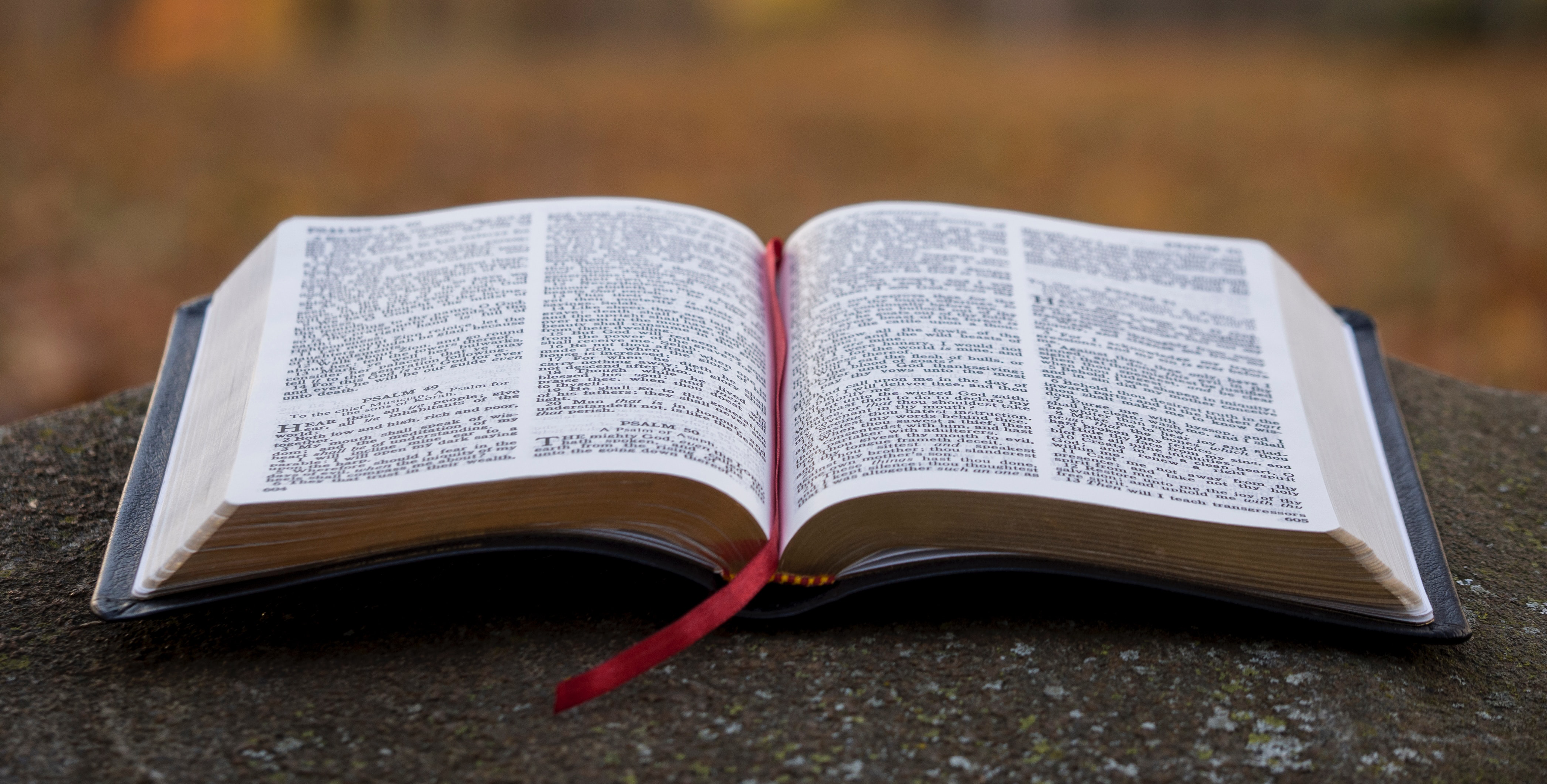 Sharing The Word Of God